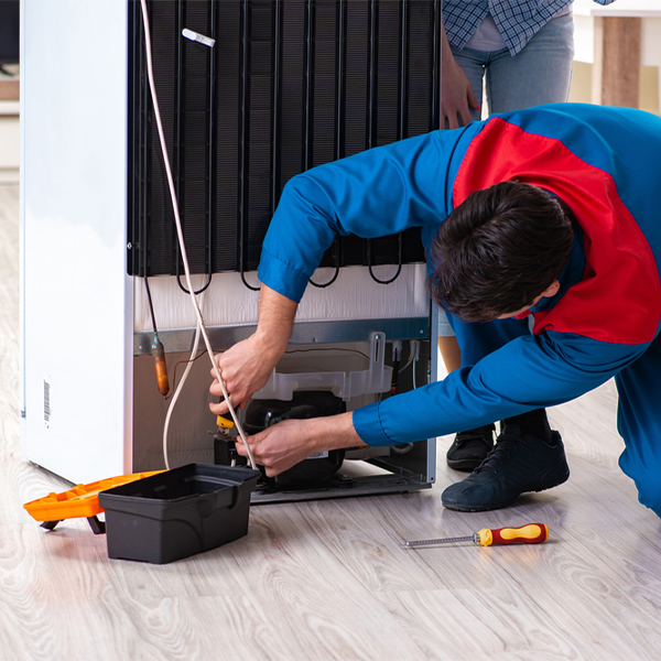 how do you diagnose a problem with a refrigerator in Camas County Idaho